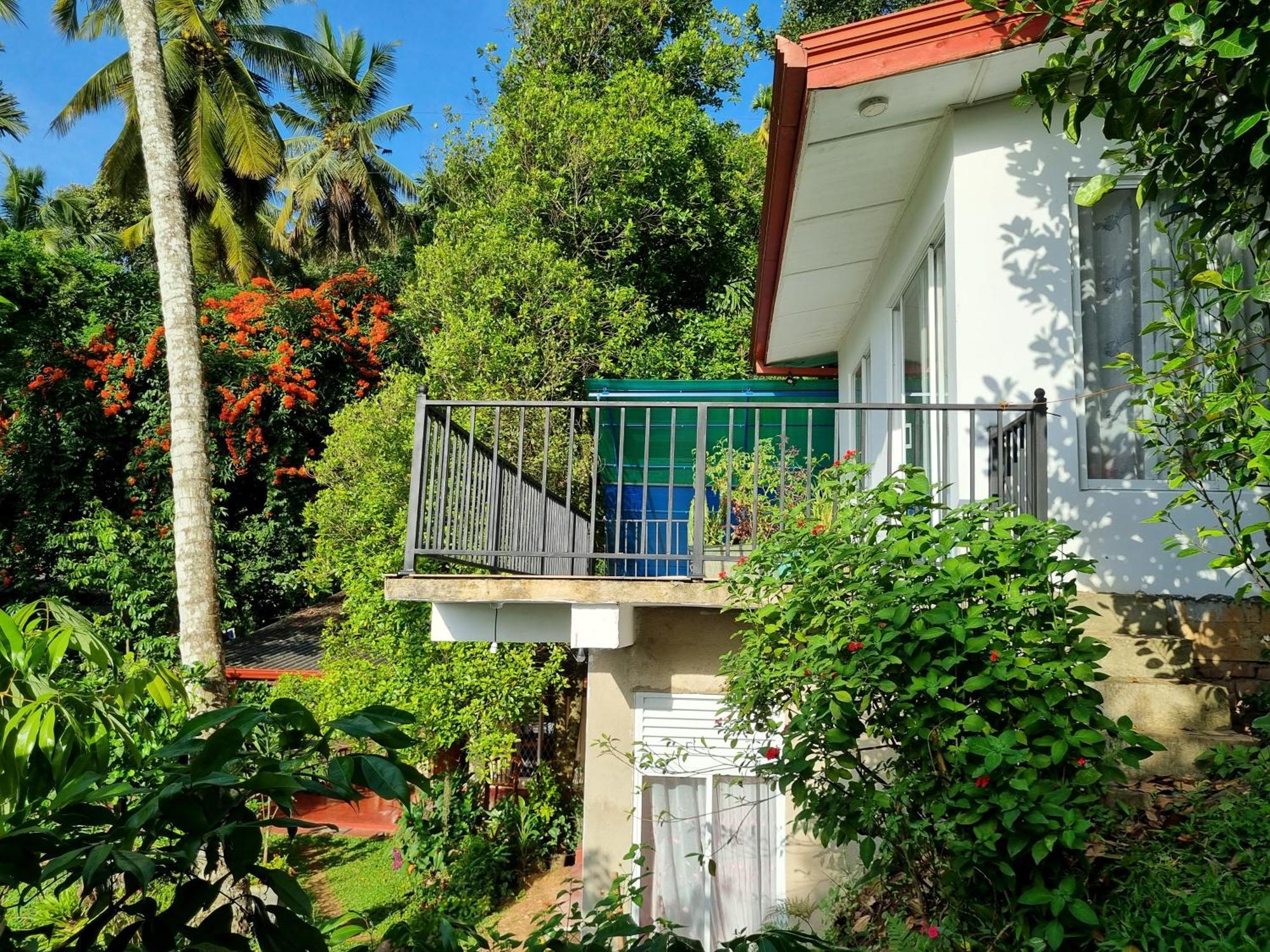 Squirrel'S Nest Hotel Kandy Eksteriør billede